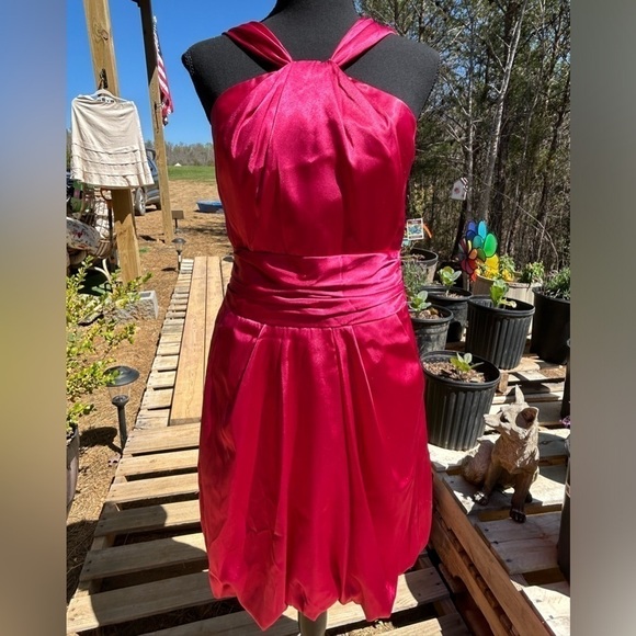David’s Bridal dress. Pink. Size 4. Balloon skirt. Midi length. - Picture 1 of 8